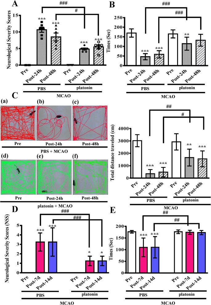 Figure 2: Alleviation of neurobehavioral deficits after platonin treatment in a mouse model of ischemic stroke.