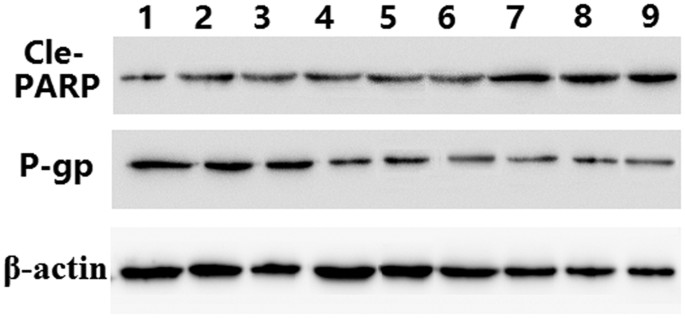 figure 18