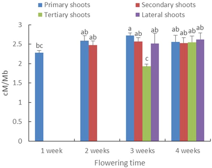 Figure 5: Mean recombination frequency of all nine intervals between four different shoot types at four time points during plant development.