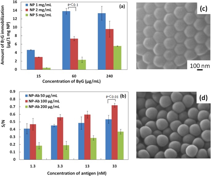 Figure 2: Characteristics of Ab immobilization on the PS NPs.