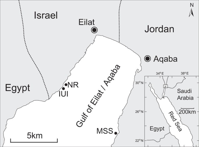 Figure 1: Map of the study sites in the northern Gulf of Aqaba/Eilat, Red Sea.