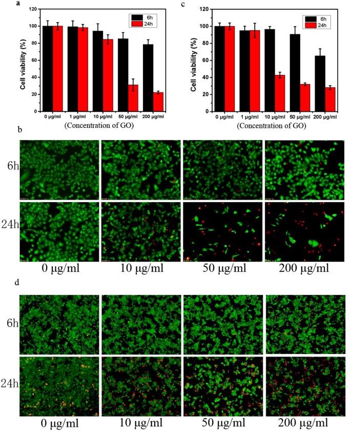 Graphene Induced Pore Formation On Cell Membranes Scientific Reports
