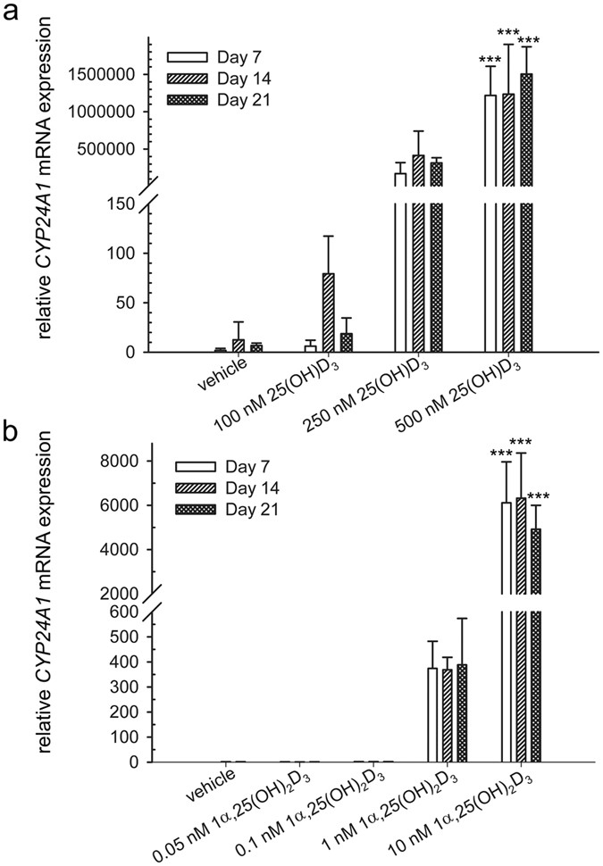 25 Hydroxyvitamin D 3 Induces Osteogenic Differentiation Of Human Mesenchymal Stem Cells Scientific Reports