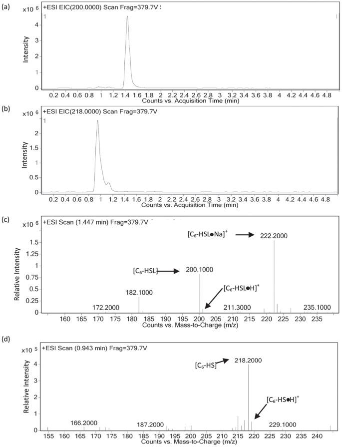 Comparison of AaL active site with AiiA, AiiB, and AidC. (A