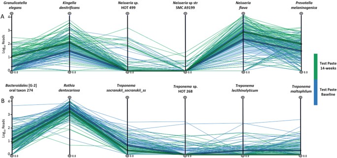 enzymatic toothpaste for humans