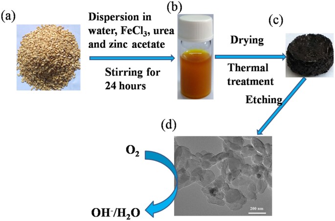 A Facile Synthesis Of Nitrogen Doped Highly Porous Carbon Nanoplatelets Efficient Catalysts For Oxygen Electroreduction Scientific Reports