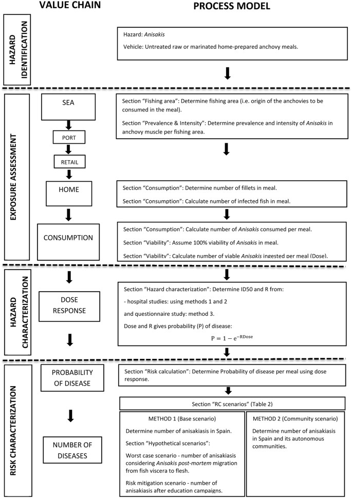 anthelmintic process definition îndepărtarea rapidă și eficientă a paraziților