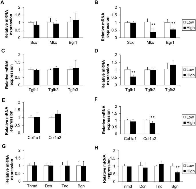 High Glucose Alters Tendon Homeostasis Through Downregulation Of The Ampk Egr1 Pathway Scientific Reports