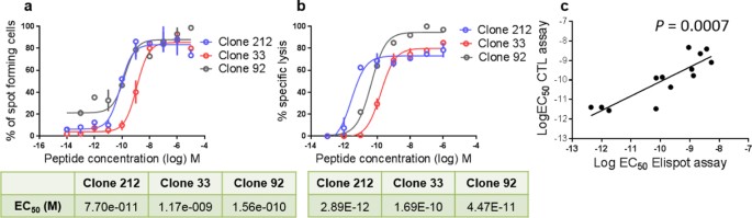 Figure 1: Assessment of the mean functional avidity of T cell clones: comparison of IFN-γ Elispot and cytotoxicity assays.