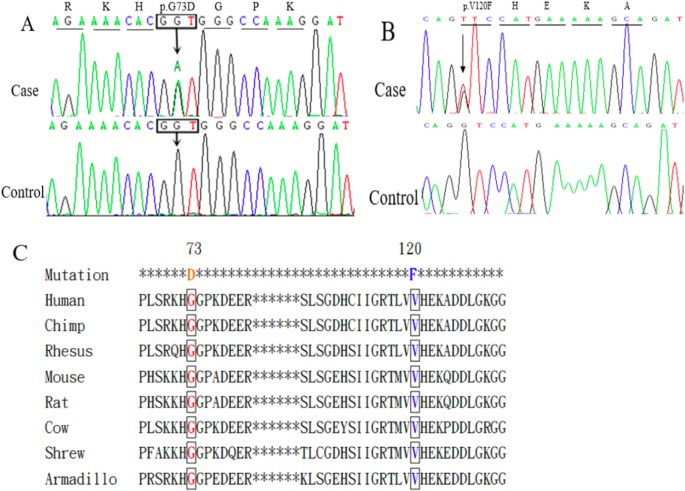 Figure 1: Results of genetic analyses of patients.