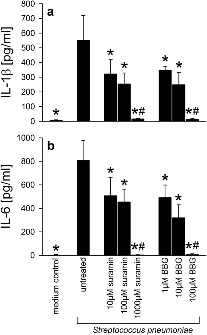 Role Of Purinergic Signaling In Experimental Pneumococcal Meningitis Scientific Reports Role Of Purinergic Signaling In Experimental Pneumococcal Meningitis Scientific Reports