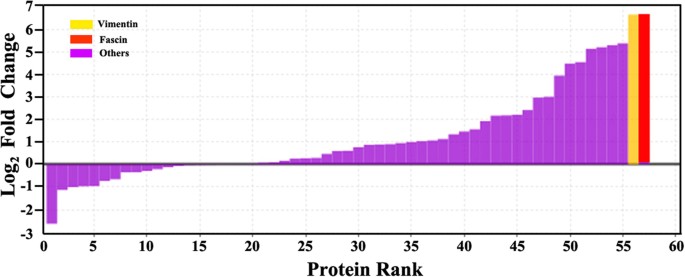 Figure 2: SILAC analysis discriminates specific from unspecific binders.