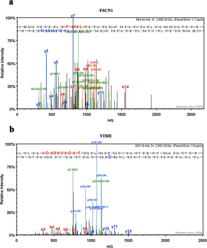 Figure 3: MS/MS fragmentation spectrum identifies the peptide of MAGE-G1-interacted proteins.