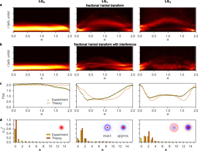 Basis-neutral Hilbert-space analyzers | Scientific Reports