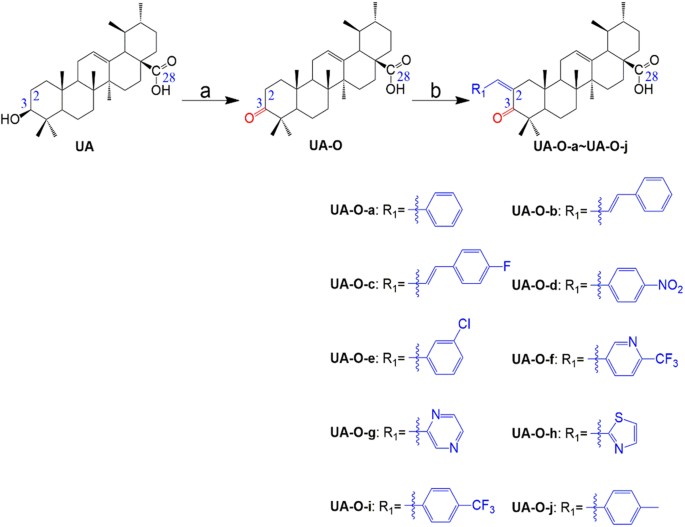 Synthesis And Biological Evaluation Of Novel Ursolic Acid Analogues As Potential A Glucosidase Inhibitors Scientific Reports