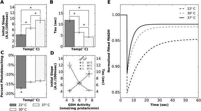 Figure 5: NADH ED-FRAP measurements (LP mode) for hearts perfused at three temperatures.