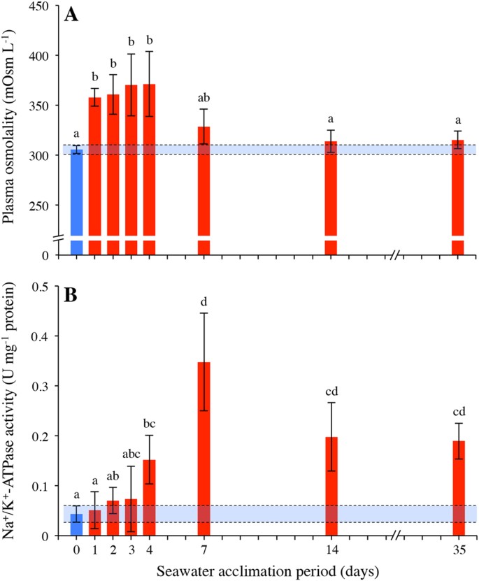 Increased Mitochondrial Coupling And Anaerobic Capacity Minimizes Aerobic Costs Of Trout In The Sea Scientific Reports Increased Mitochondrial Coupling And Anaerobic Capacity Minimizes Aerobic Costs Of Trout In The Sea Scientific Reports