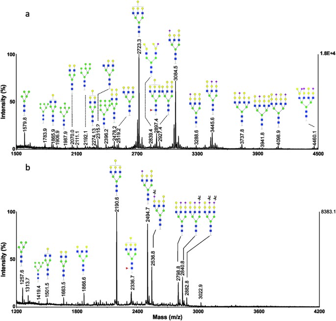 Figure 4: MALDI-MS analysis of N-glycans from a representative serum sample of grass carp (Grass-1).