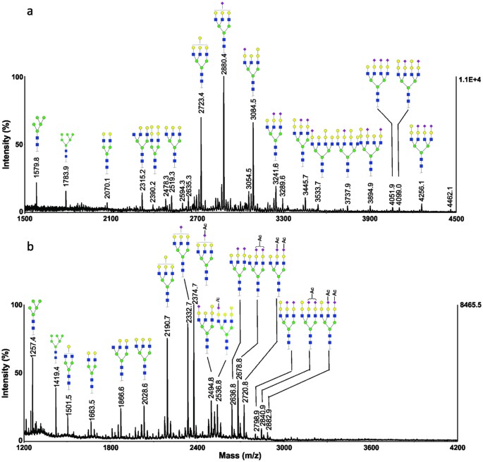 Figure 7: MALDI-MS analysis of N-glycans from a representative serum sample of bighead carp (Bighead-1).