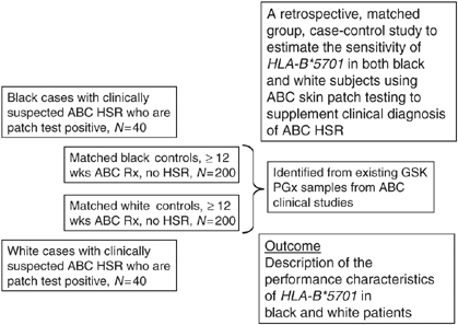 Pharmacogenetics Of Hypersensitivity To Abacavir From Pgx Hypothesis To Confirmation To Clinical Utility The Pharmacogenomics Journal