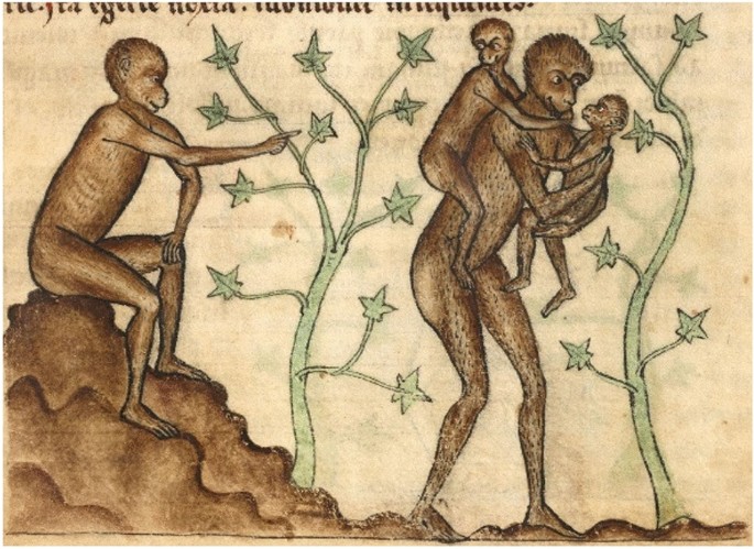 wandering literal meaning figure 2