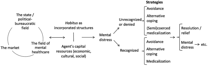 Bourdieu S Theory Of Fields Towards Understanding Help Seeking Practices In Mental Distress Springerlink