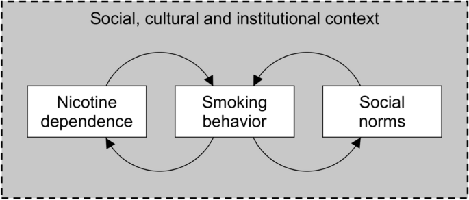 social determinants of tobacco use The social gradient in smoking: individual behaviour, norms and nicotine  dependence in the later stages of the cigarette epidemic | Social Theory &  Health
