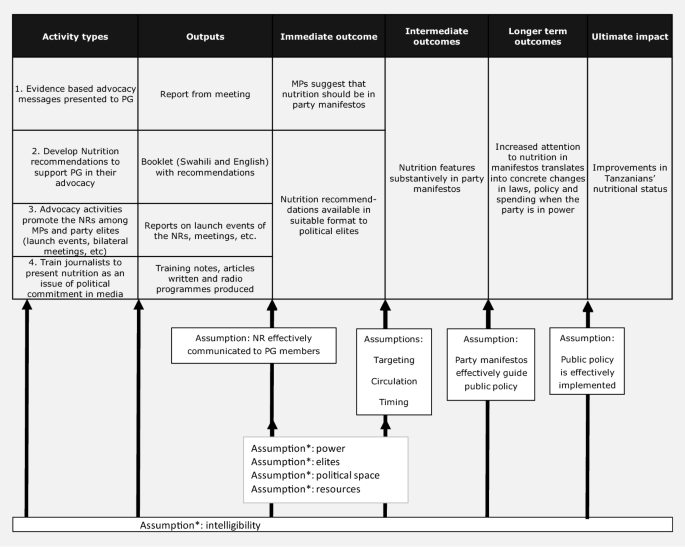 Evaluating Parliamentary Advocacy For Nutrition In Tanzania Springerlink