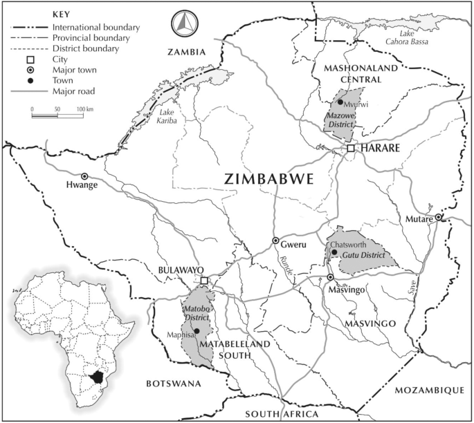 Small Towns and Land Reform in Zimbabwe | SpringerLink
