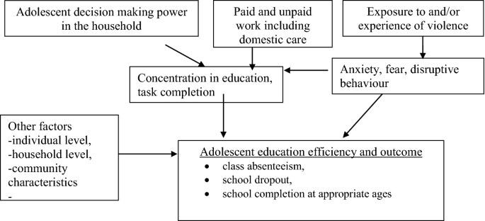 literature review on causes of school dropout