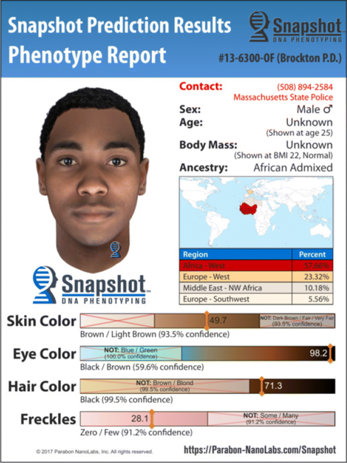 springerlink