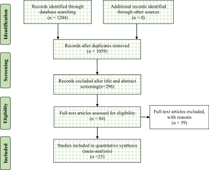 meta analysis literature review definition figure 1