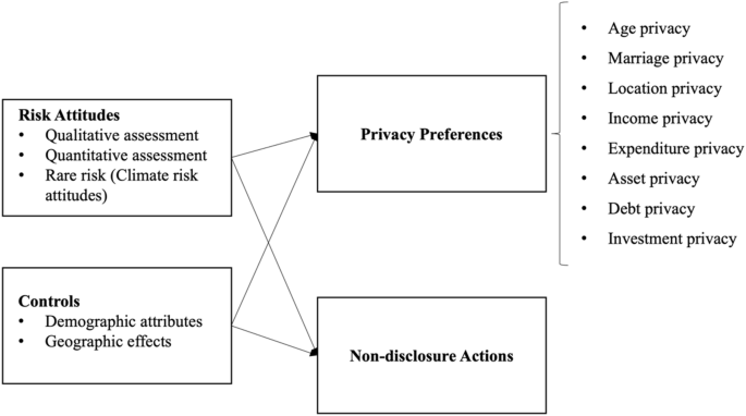 The role of risk attitudes in shaping digital privacy preferences ...