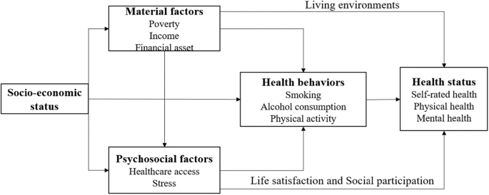 Fig. 1: The relationship between poverty and health status.