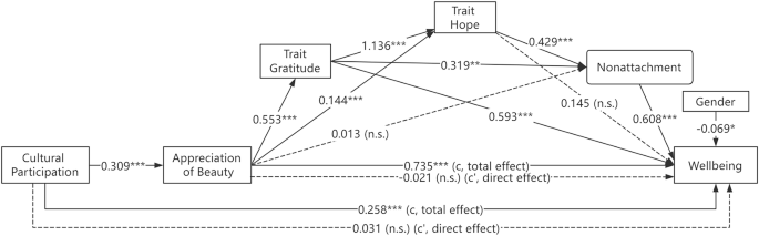 Fig. 3: Resulting model with unstandardized path coefficients for direct effects and bootstrap regression coefficients based on 5000 bootstrap samples for total effects.
