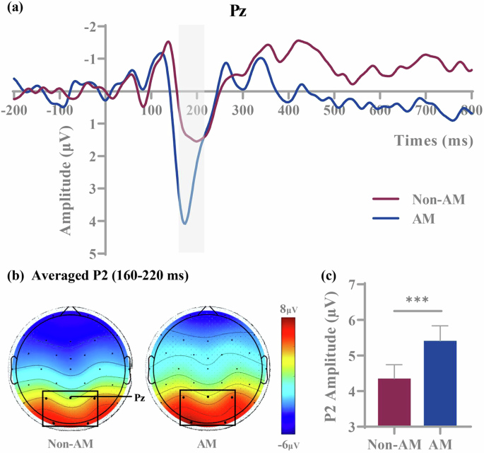 Fig. 5: P2 results at the product type evaluation stage.
