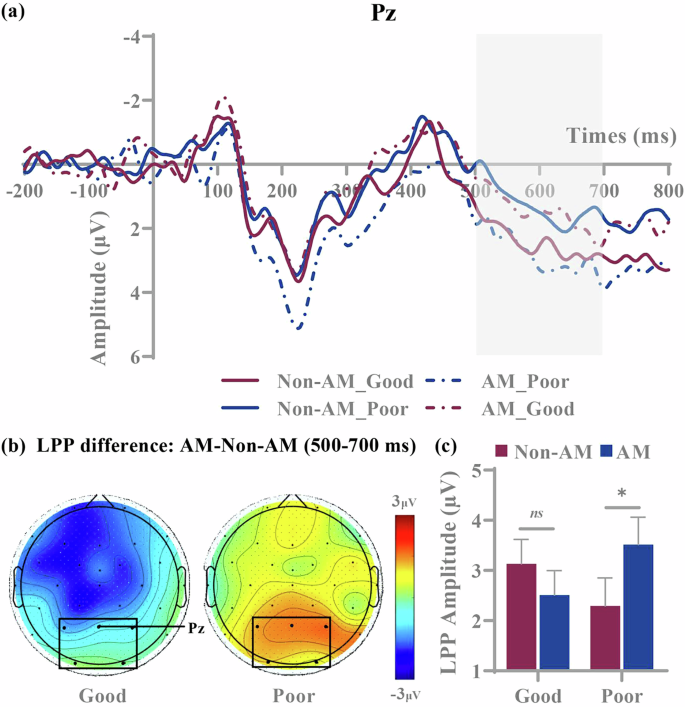 Fig. 7: LPP Results at the Outcome Feedback Stage.