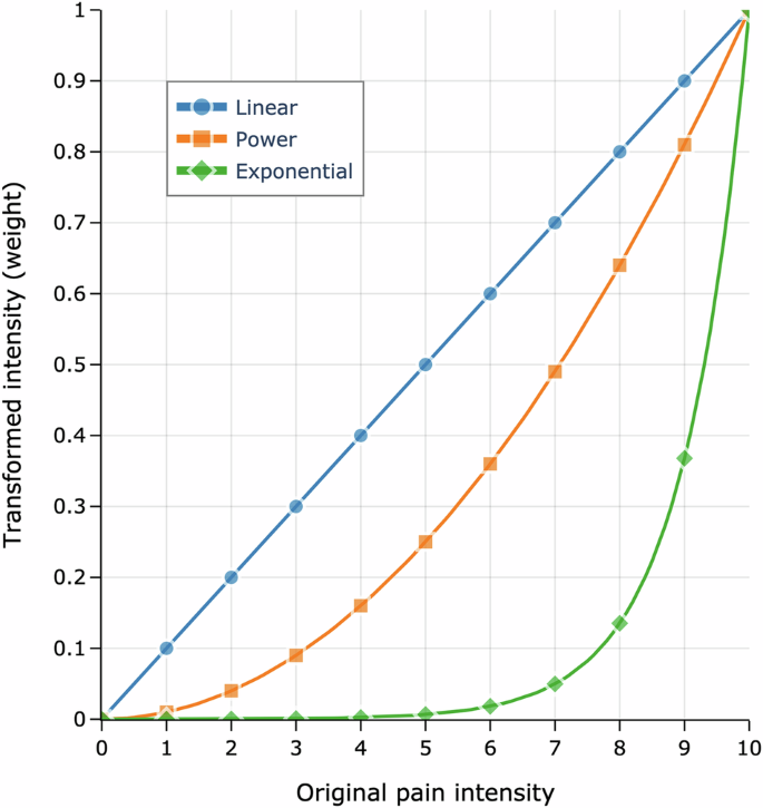 Fig. 1: Examples of transformations for the intensity weight.