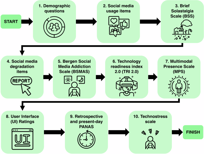 Fig. 1: Flowchart of the study process.