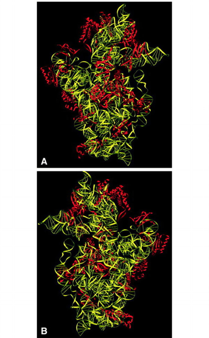 A new era for the RNA world | EMBO Reports | Springer Nature Link