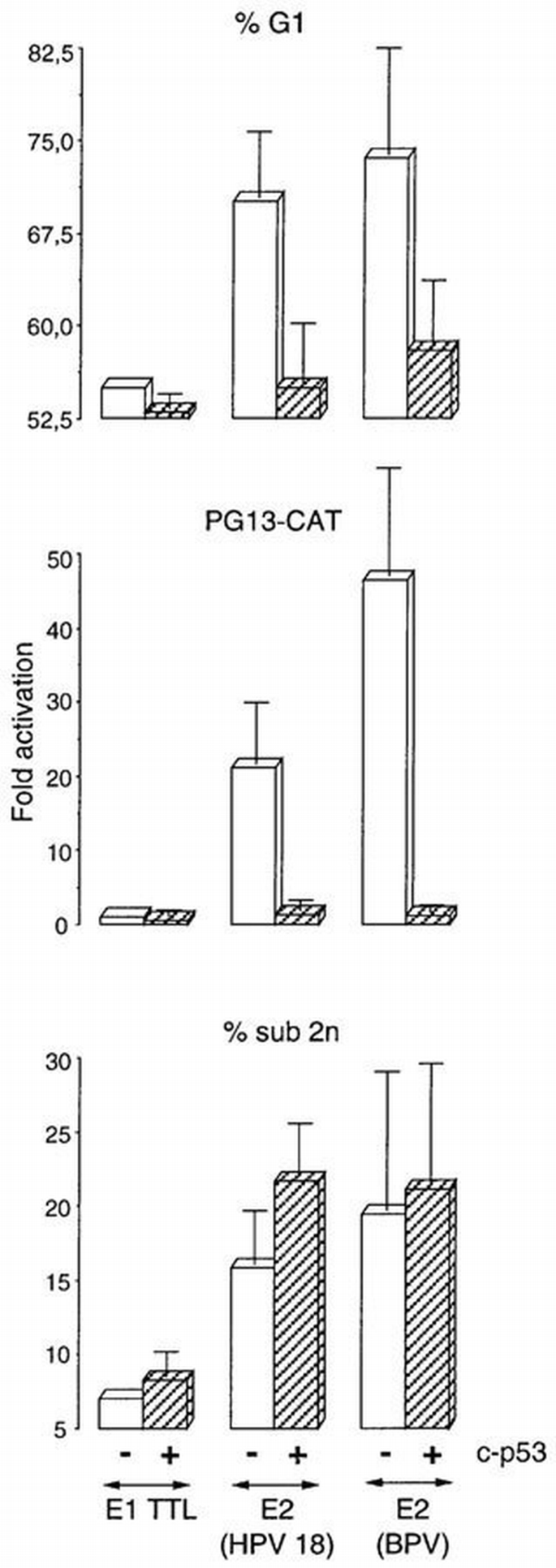 Expression of the papillomavirus E2 protein in HeLa cells leads to ...