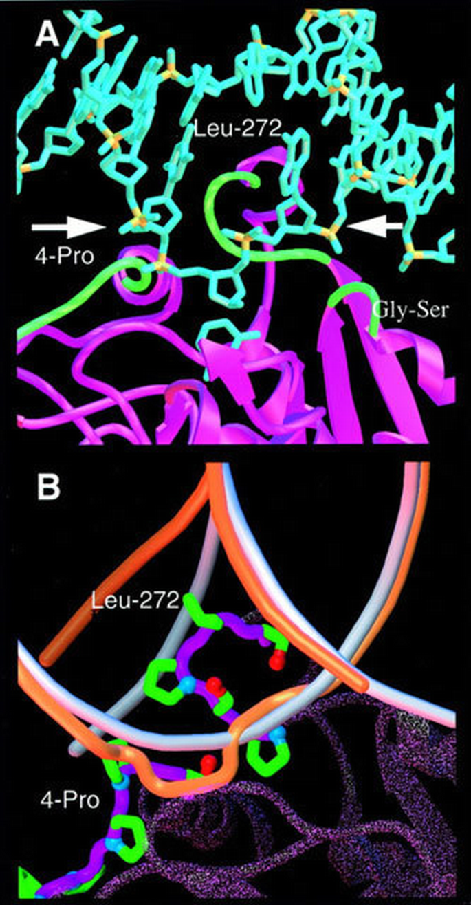 Base excision repair initiation revealed by crystal structures and ...