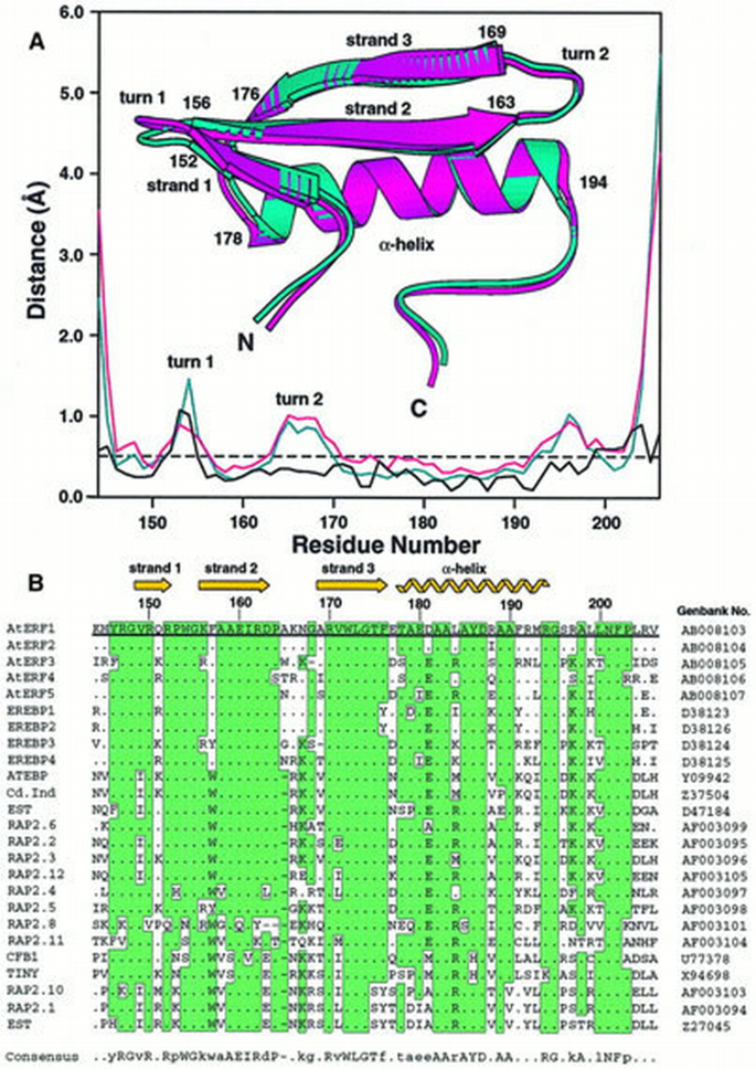 A novel mode of DNA recognition by a β‐sheet revealed by the solution ...