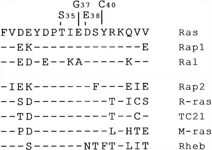 Ras R All in the family? New insights and questions regarding ...