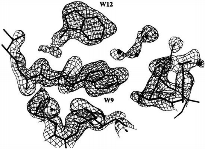 Crystal structure of the human protein kinase CK2 regulatory subunit ...