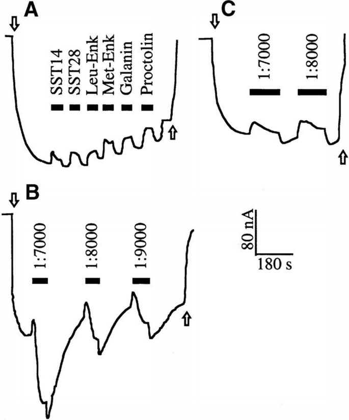 Sap47 Reverse physiology in Drosophila: identification of a novel ...