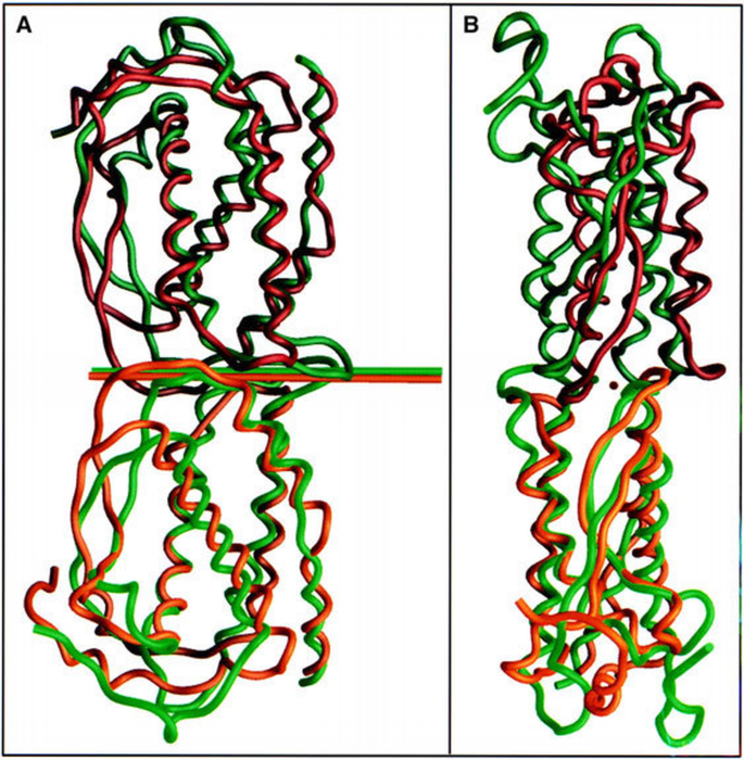 Structure of the active core of human stem cell factor and analysis of ...