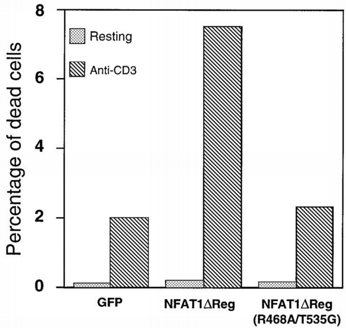 Gene expression elicited by NFAT in the presence or absence of ...