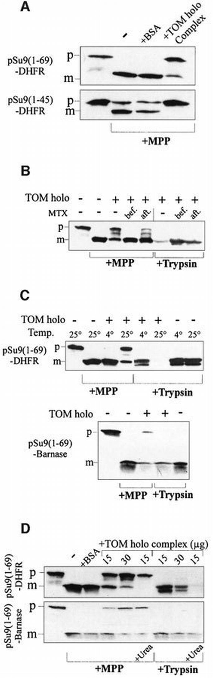 Recognition of preproteins by the isolated TOM complex of mitochondria ...