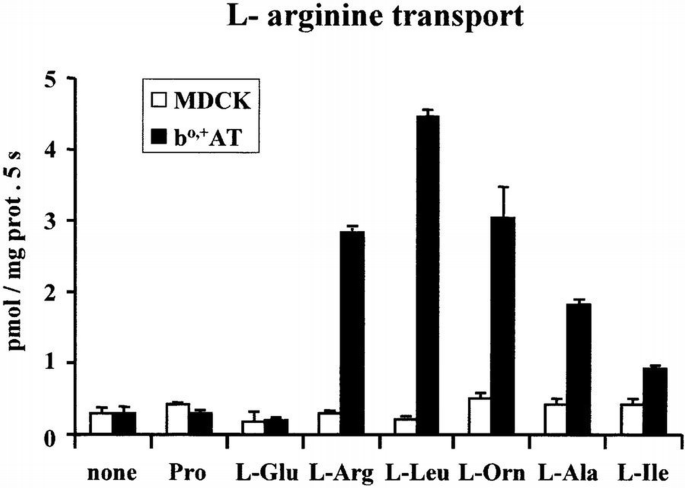 The light subunit of system bo,+ is fully functional in the absence of ...